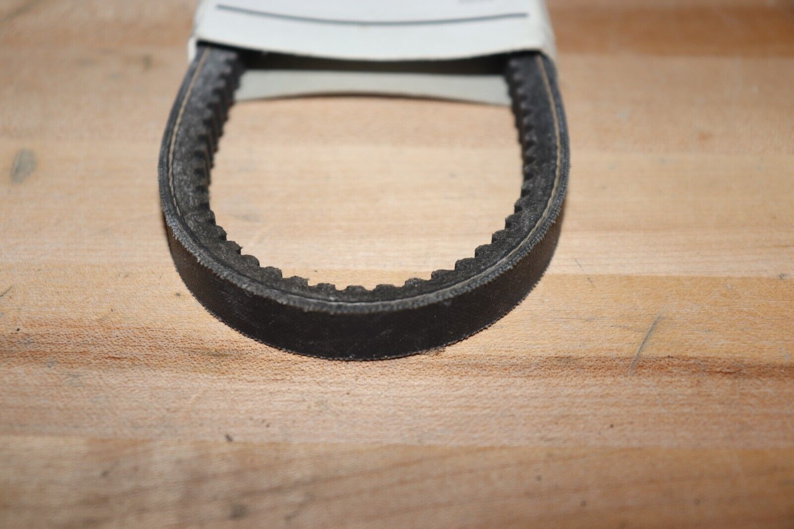 DAYTON Cogged V-Belt: 31 in Outside Lg, 1/2 in Top Wd, 5/16 in Thick, 3GWU3