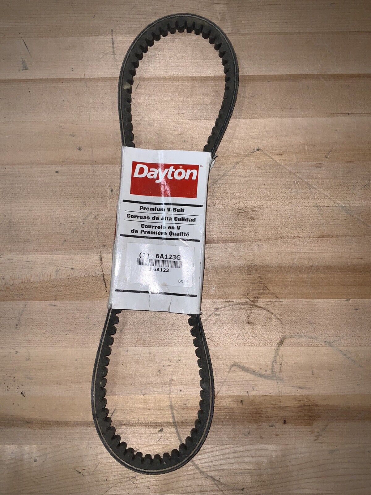DAYTON Cogged V-Belt: 39 in Outside Lg, 21/32 in Top Wd, 13/32 in Thick, 6A123 - Northside Material Brokers