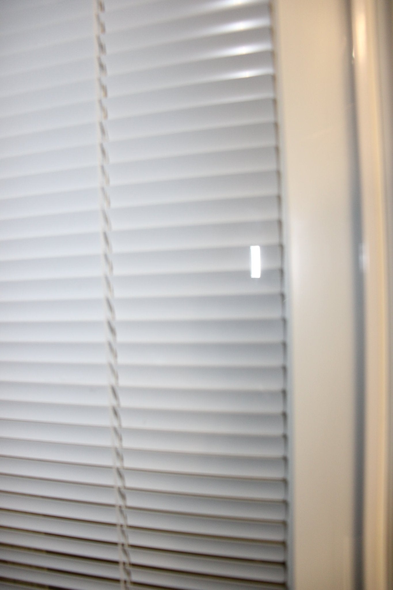 Exterior Double Patio Door with Frame Retro Fit 60 Inch Full View Mini-Blind Glass - Northside Material Brokers