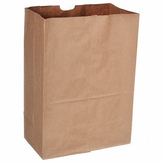 Grocery Bag, 500 Pack: 12 in Wd, 7 in Dp, 17 in Ht, 12R103 - Northside Material Brokers